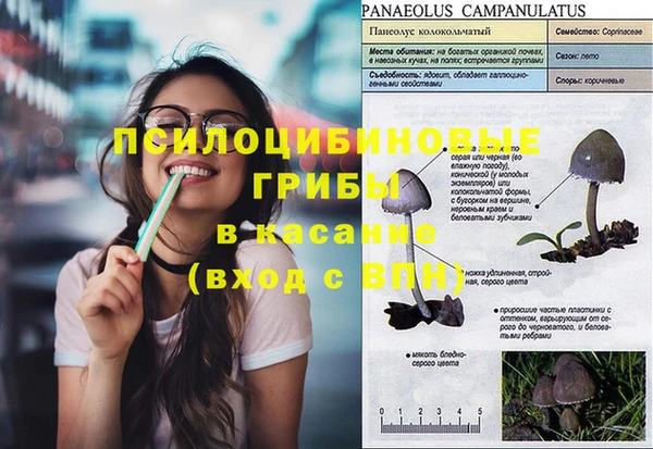 Альфа ПВП Михайловск